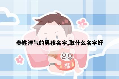 秦姓洋气的男孩名字,取什么名字好